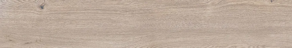 Favoriet Navale Foret vloertegel 20x120cm eiken licht gerectificeerd