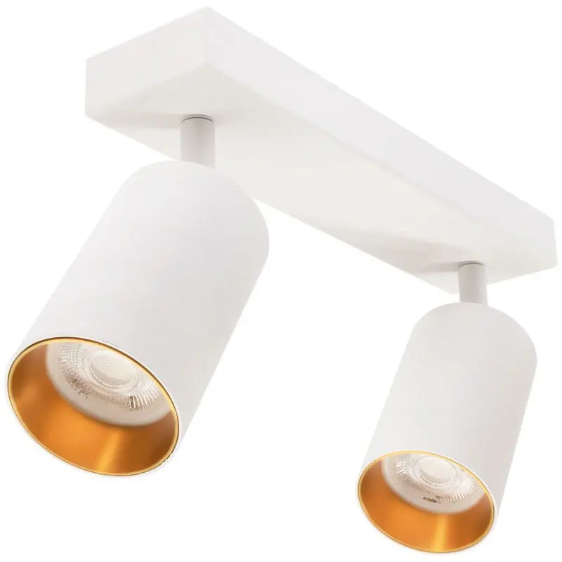 Bestseller Groenovatie Plafondspot Rond, 2-Lichts, Kantelbaar, GU10 Fitting, Wit / Goud
